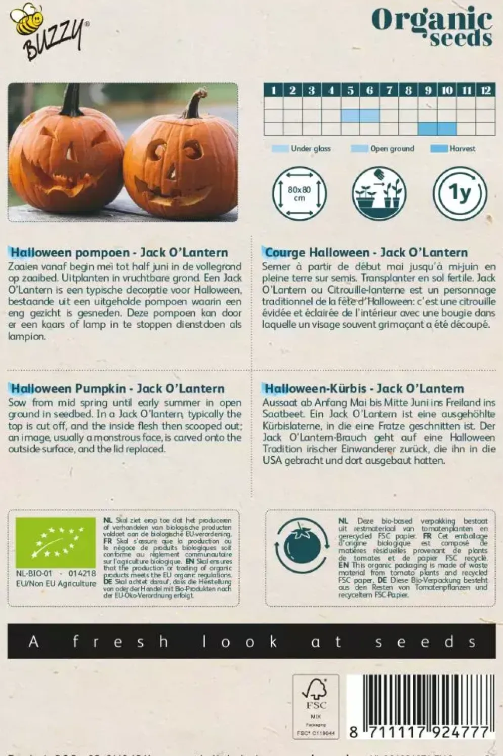 Buzzy® Pompoen Jack O'Lantern (BIO)