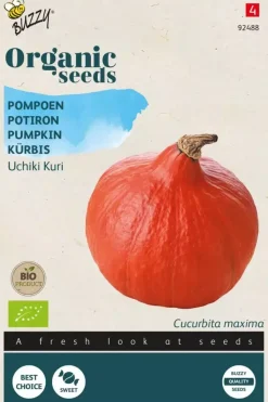 Buzzy® Pompoen Uchiki Kuri (BIO)