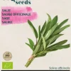 Buzzy® Salie (BIO)