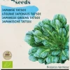 Buzzy® Tatsoi (BIO)