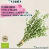 Buzzy® Winter Tijm (BIO)