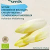 Buzzy® Witlof Hollandse Middelvroeg (BIO)