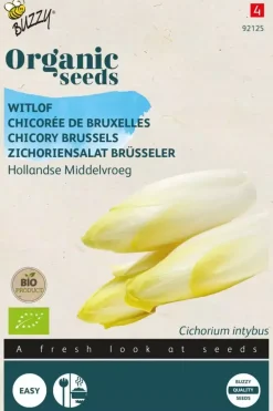 Buzzy® Witlof Hollandse Middelvroeg (BIO)