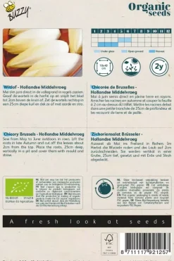 Buzzy® Witlof Hollandse Middelvroeg (BIO)