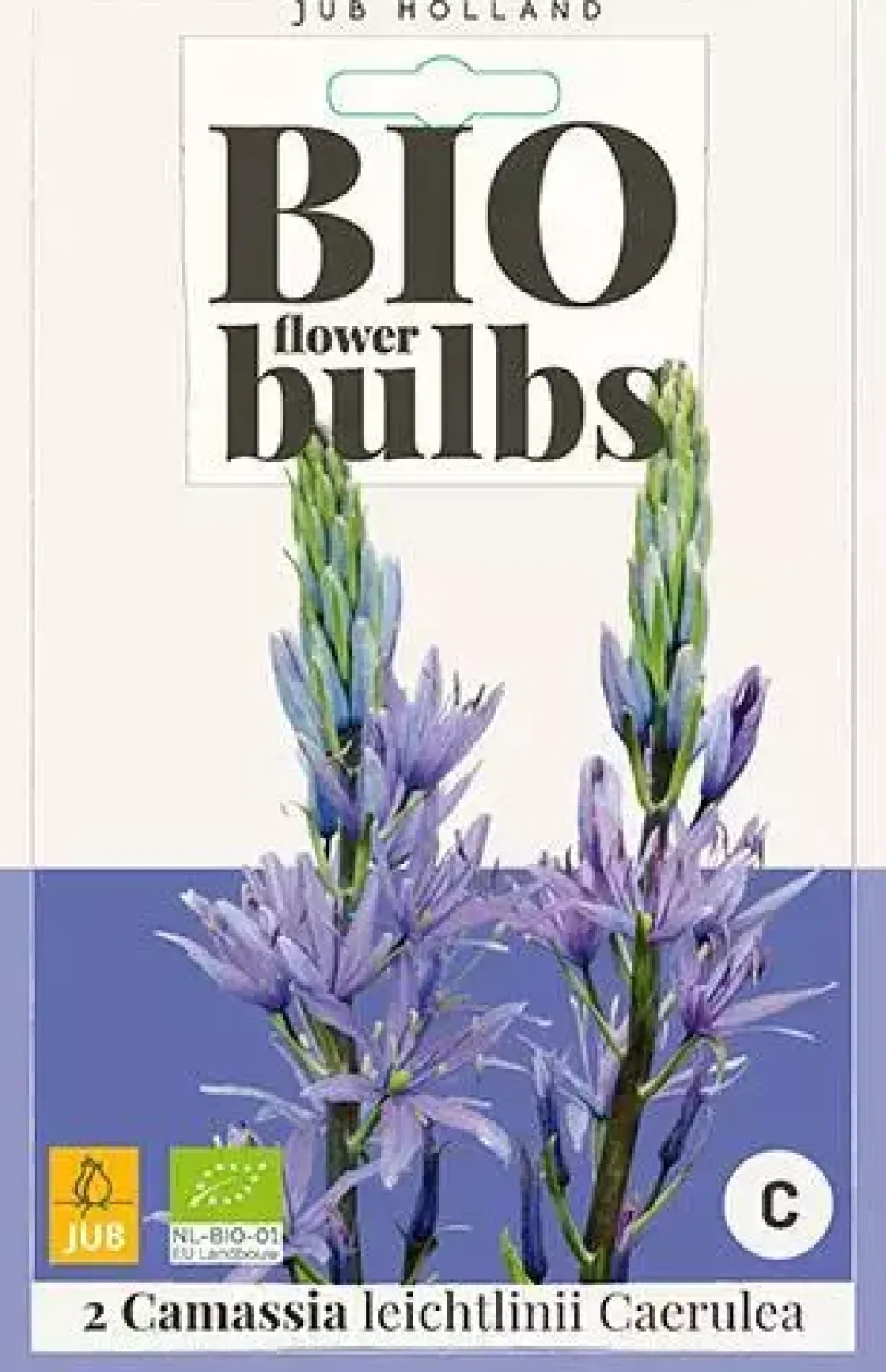 Camassia leichtlinii Caerulea 2 stuks biologisch geteeld