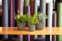 Capi 'made with' groove bol bloempot 26x23 cm grasgroen