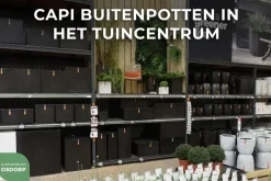 Capi 'made with' groove bol bloempot 13x12 cm zaagsel beige