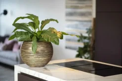 Capi nature bol rib nl kunststof vaas 40x32 cm zwart, goud