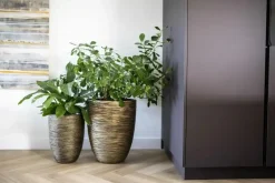Capi nature elegant laag rib nl kunststof vaas 46x58 cm zwart, goud