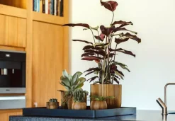 Capi nature groove indoor bol bloempot 17x14 cm zwart goud