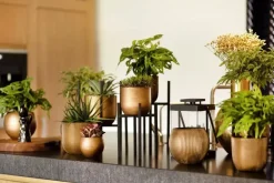 Capi nature groove indoor bol bloempot 17x14 cm zwart goud
