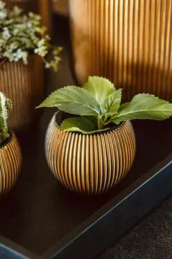 Capi nature groove indoor bol bloempot 12x10 cm zwart goud
