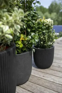 Capi nature groove nl bol bloempot 54x52 cm zwart