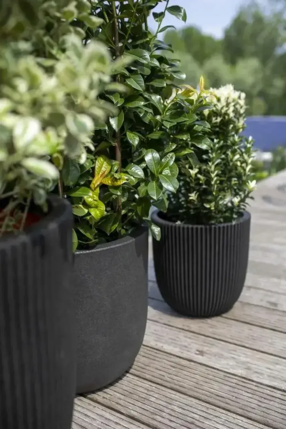 Capi nature groove nl bol bloempot 54x52 cm zwart
