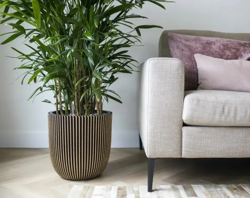 Capi nature groove nl bol bloempot 54x52 cm zwart goud