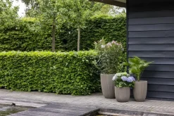 Capi nature groove nl bol bloempot 43x41 cm warme taupe