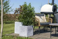 Capi nature rib nl kunststof plantenbak 40x40x40 cm ivoor