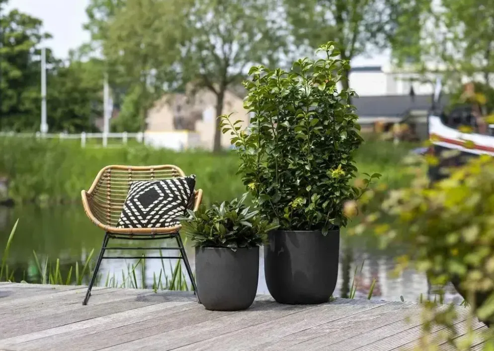 Capi urban smooth nl bloempot egg 54x52 cm zwart