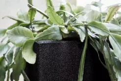 Capi urban smooth nl plantenbak square 40x40x40 cm zwart