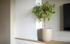 Capi waste bol smooth nl kunststof bloempot 35x34 cm terrazzo beige