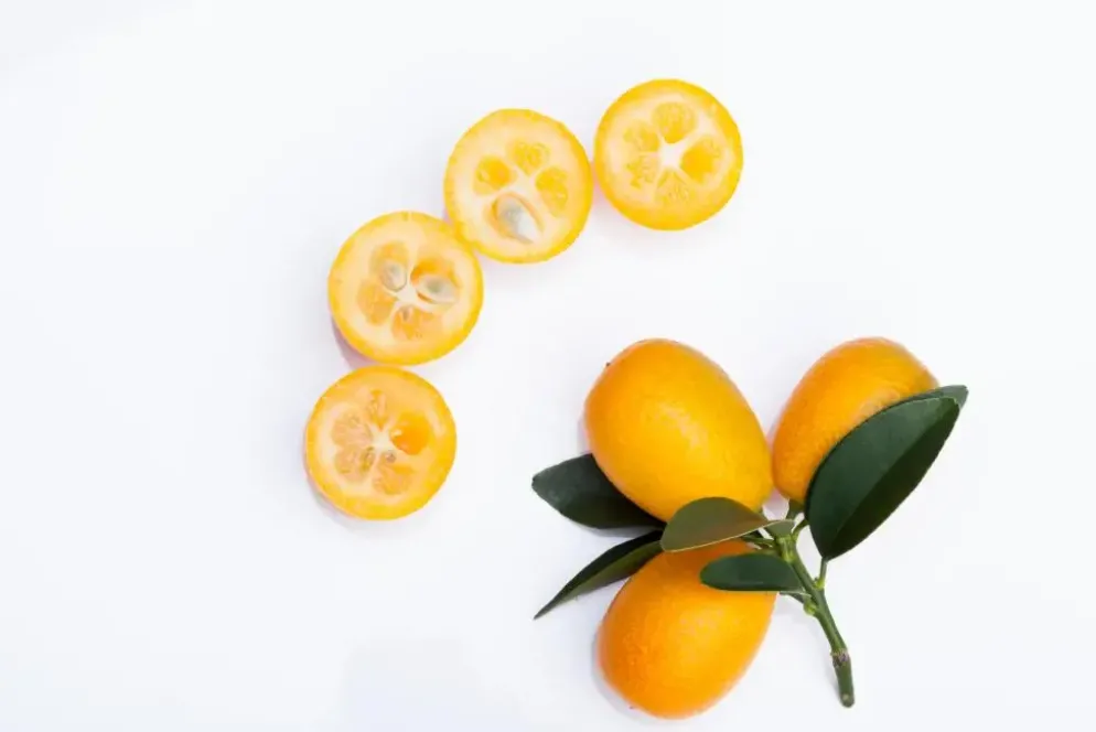 Citrus japonica (Chinese kumquat)