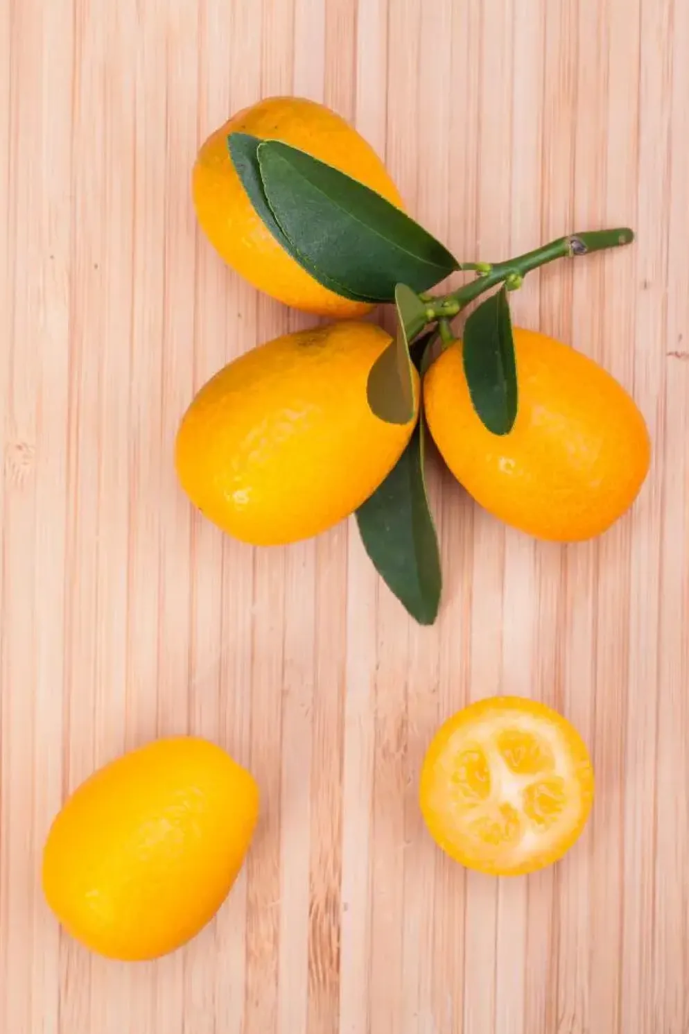 Citrus japonica (Chinese kumquat)