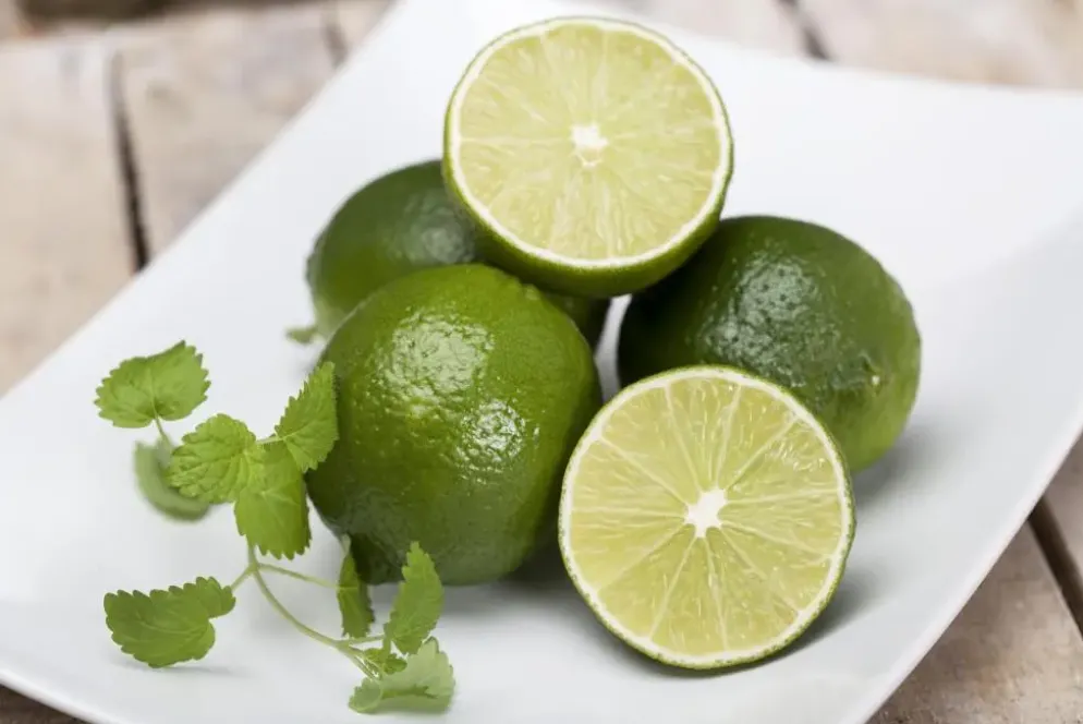 Citrus x aurantifolia (Citroenboom)
