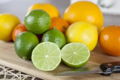 Citrus x aurantifolia (Citroenboom)