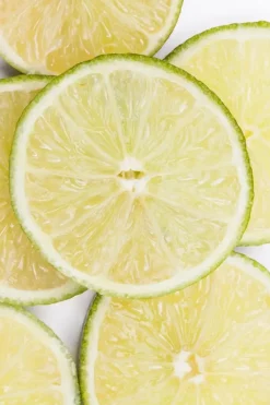 Citrus x aurantifolia (Citroenboom)