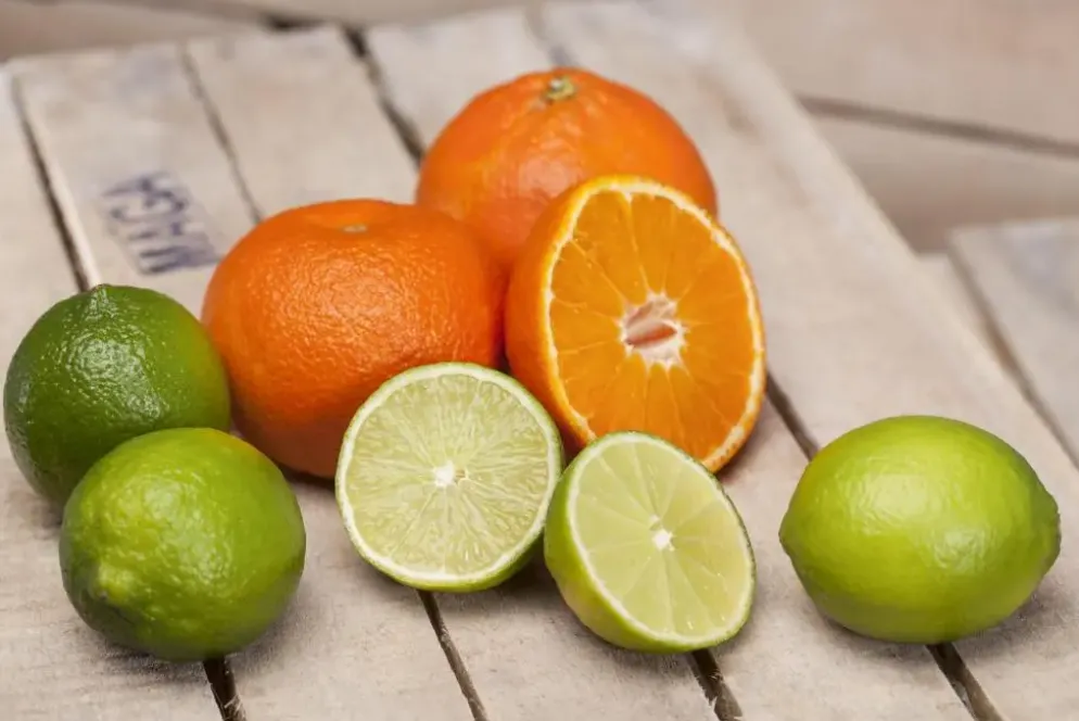 Citrus x aurantifolia (Citroenboom)