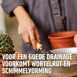 Compo Granuplant® cactussen & vetplanten 3L