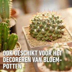 Compo Granuplant® cactussen & vetplanten 3L