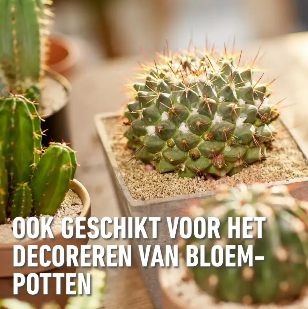 Compo Granuplant® cactussen & vetplanten 3L