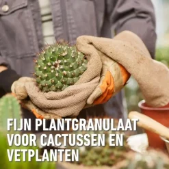 Compo Granuplant® cactussen & vetplanten 3L