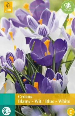 Crocus blauw/wit mix 10 krokusbollen