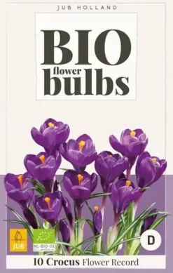 Crocus flower record bio 10st biologisch geteeld