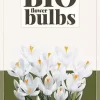 Crocus Jeanne d'Arc 10 stuks biologisch geteeld