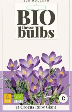 Crocus Ruby Giant 15 stuks biologisch geteeld