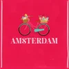 Daan Kromhout Design tegeltje keramiek amsterdam 10x10cm pink