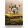 Deli Nature Chix leg pellet 4kg