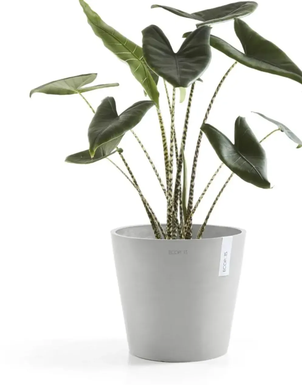 Ecopots kunststof bloempot amsterdam 40x35 cm witgrijs