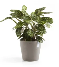 Ecopots kunststof bloempot amsterdam 40x35 cm taupe