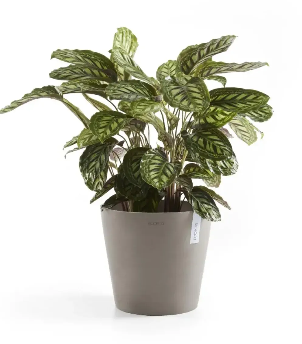 Ecopots kunststof bloempot amsterdam 40x35 cm taupe