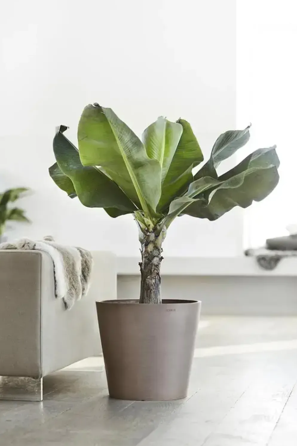 Ecopots kunststof bloempot amsterdam 40x35 cm taupe