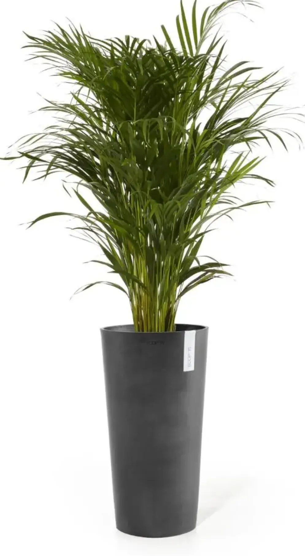 Ecopots kunststof bloempot amsterdam hoog 41.5x76.8 cm donkergrijs