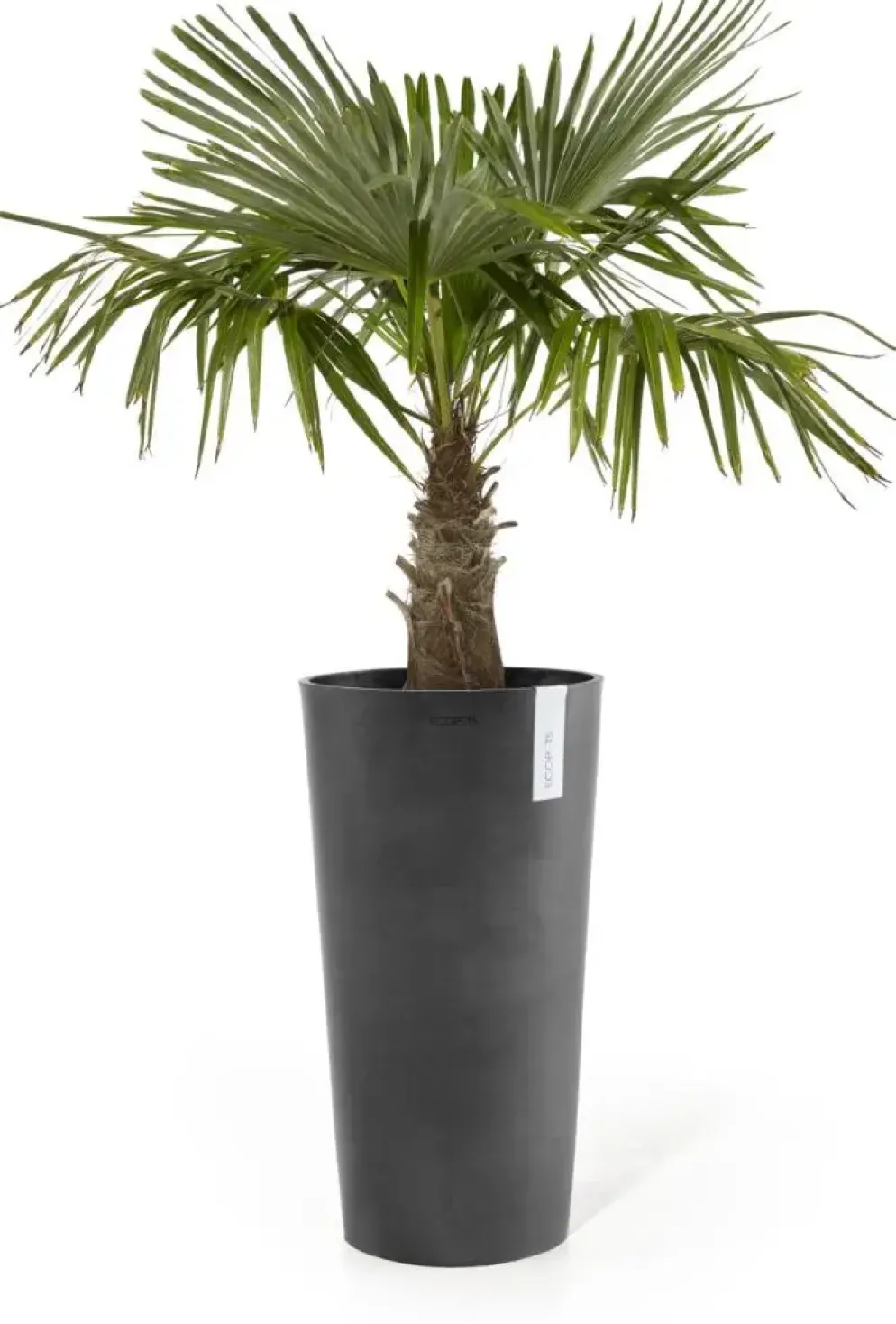 Ecopots kunststof bloempot amsterdam hoog 41.5x76.8 cm donkergrijs
