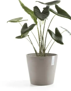 Ecopots kunststof bloempot amsterdam 30x26.3 cm taupe