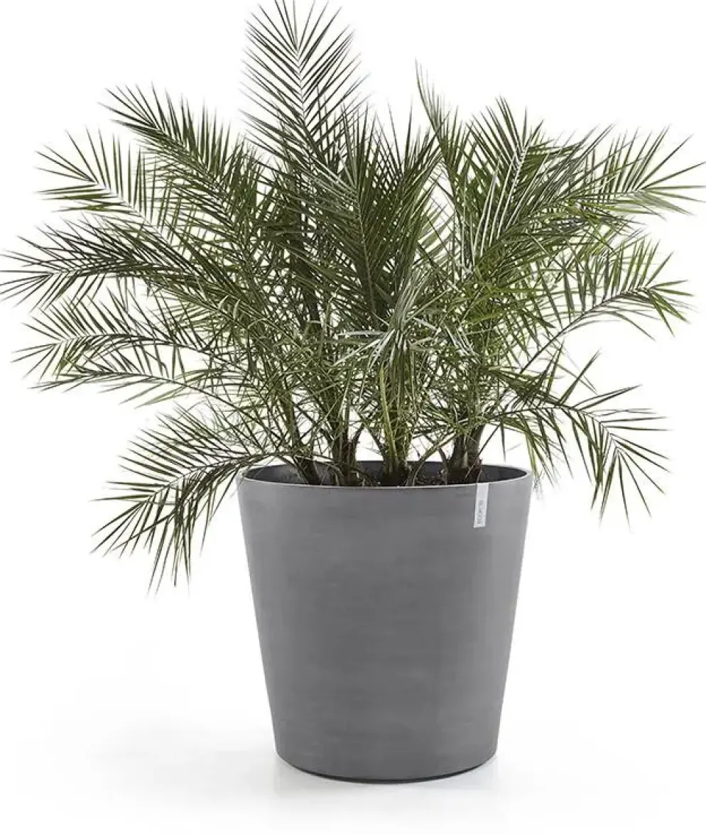 Ecopots kunststof bloempot amsterdam met wielen 60x56 cm grijs