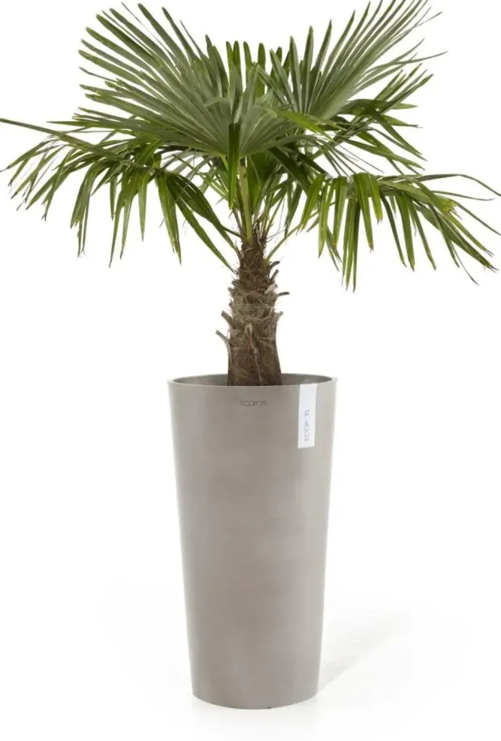 Ecopots kunststof bloempot amsterdam hoog 34x66 cm taupe