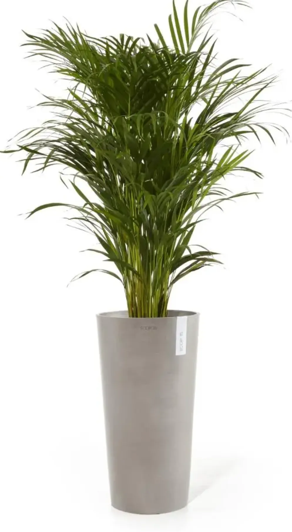 Ecopots kunststof bloempot amsterdam hoog 34x66 cm taupe